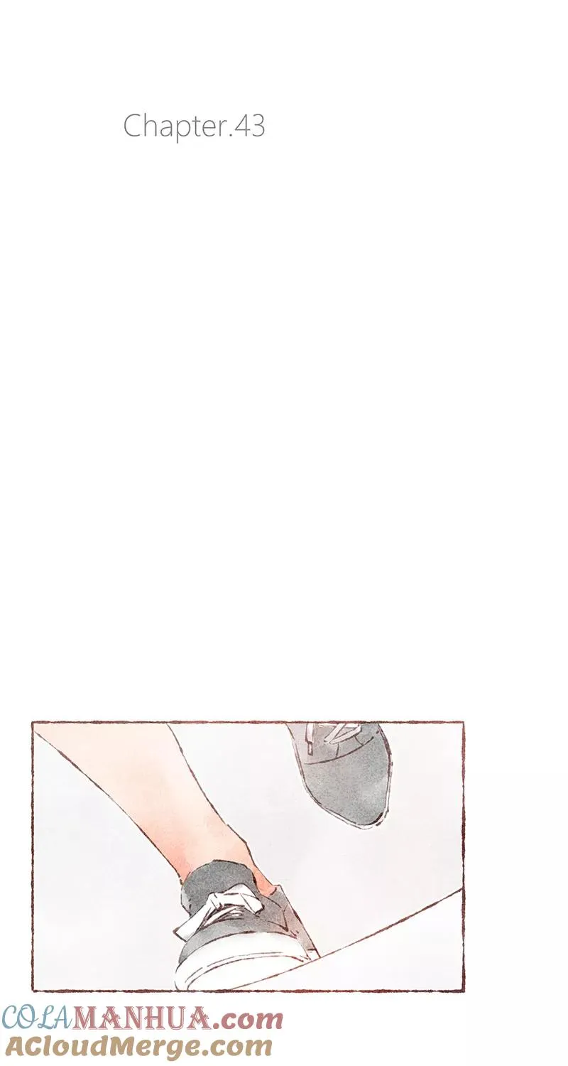第43话 第19页