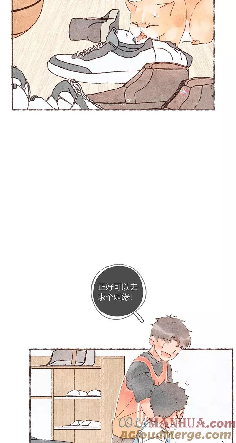 第47话 第31页