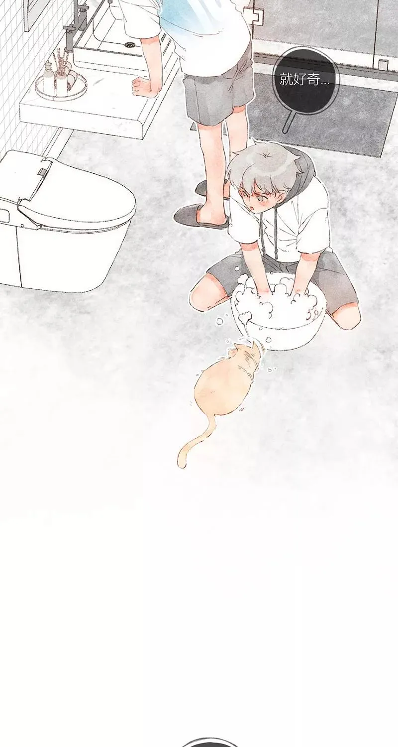 第48话 第5页