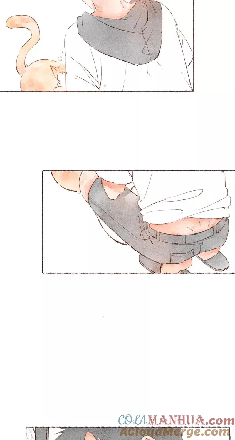 第48话 第13页