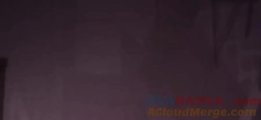 51 第205页