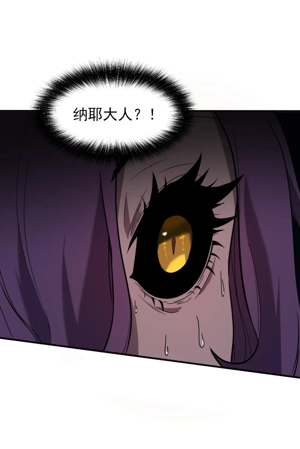 008 纳耶大人的命令 第29页