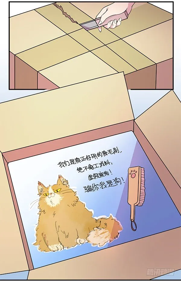 骗你我是狗除毛刷 第19页