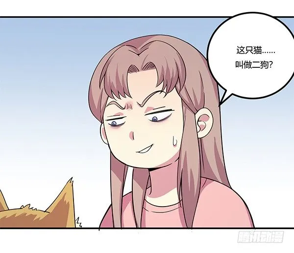 骗你我是狗除毛刷 第27页