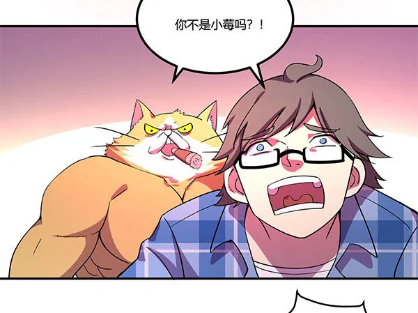 吧啦吧美容仪 第89页