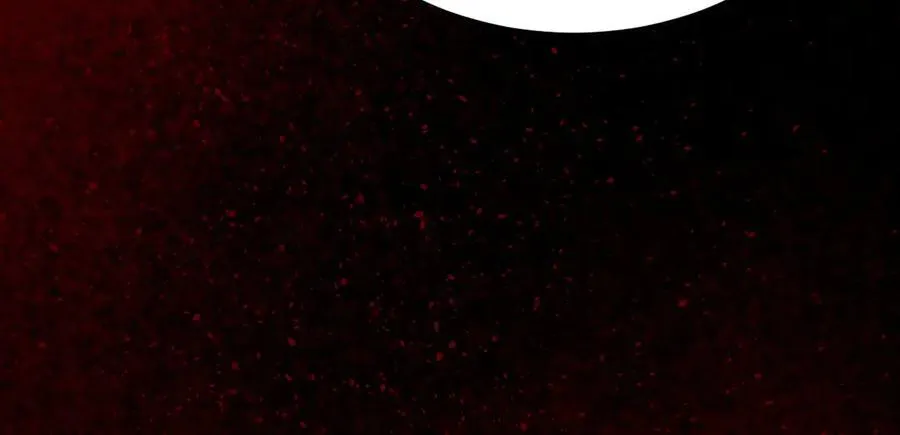 33 命运？死亡？ 第230页