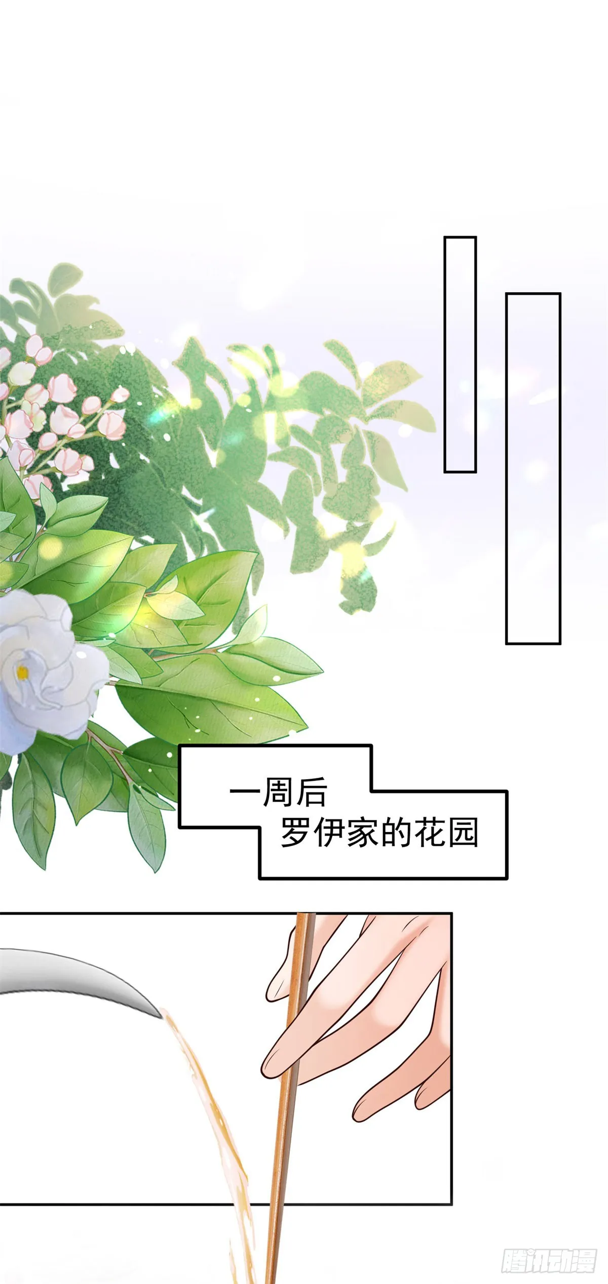 第17话 开始售卖咖啡豆 第2页