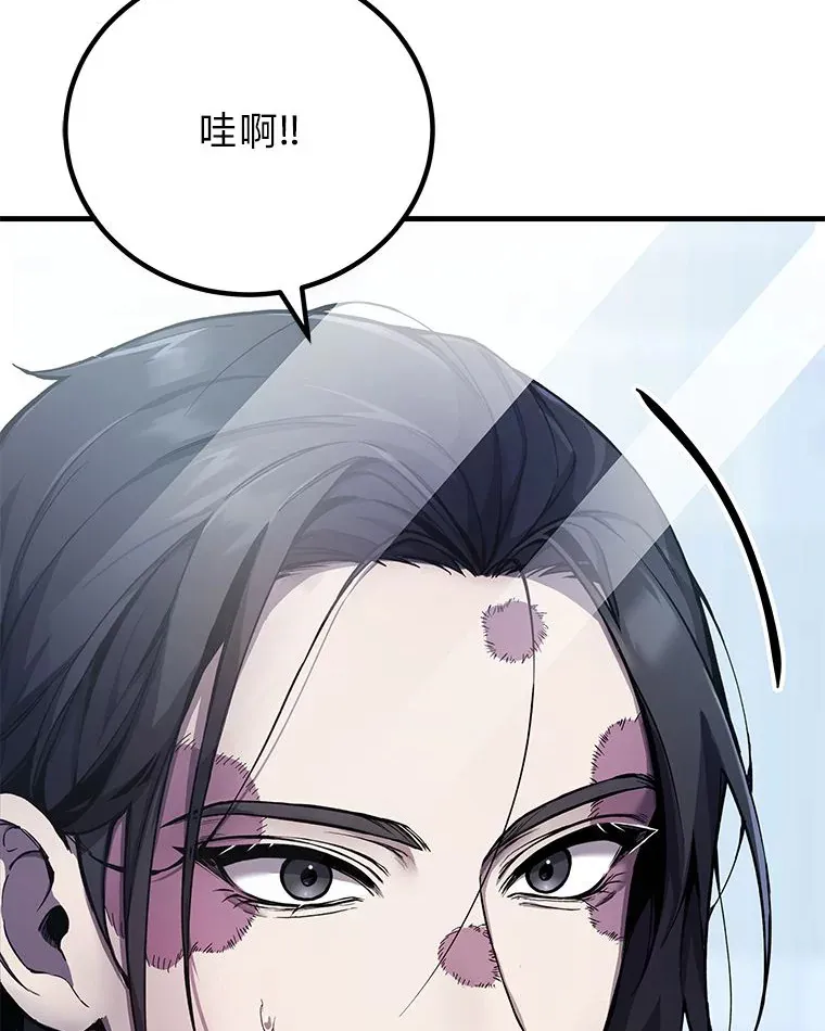 7.荣耀公会的象征 第46页