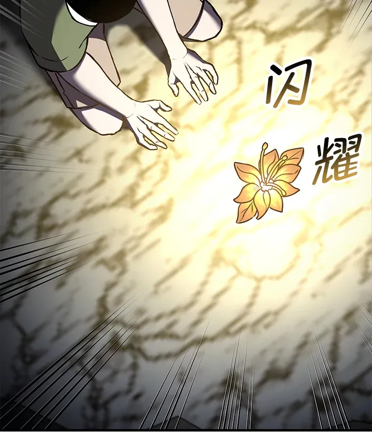 11.铜灵花 第68页