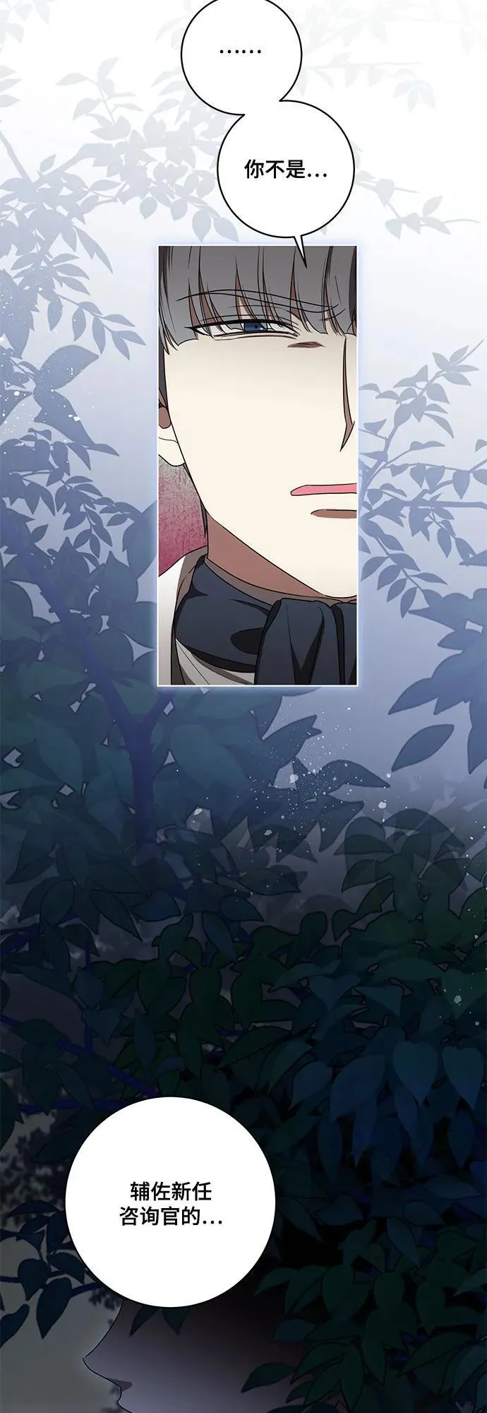 [第71话] 在迈伊德兰特，需要用实力说话 第48页