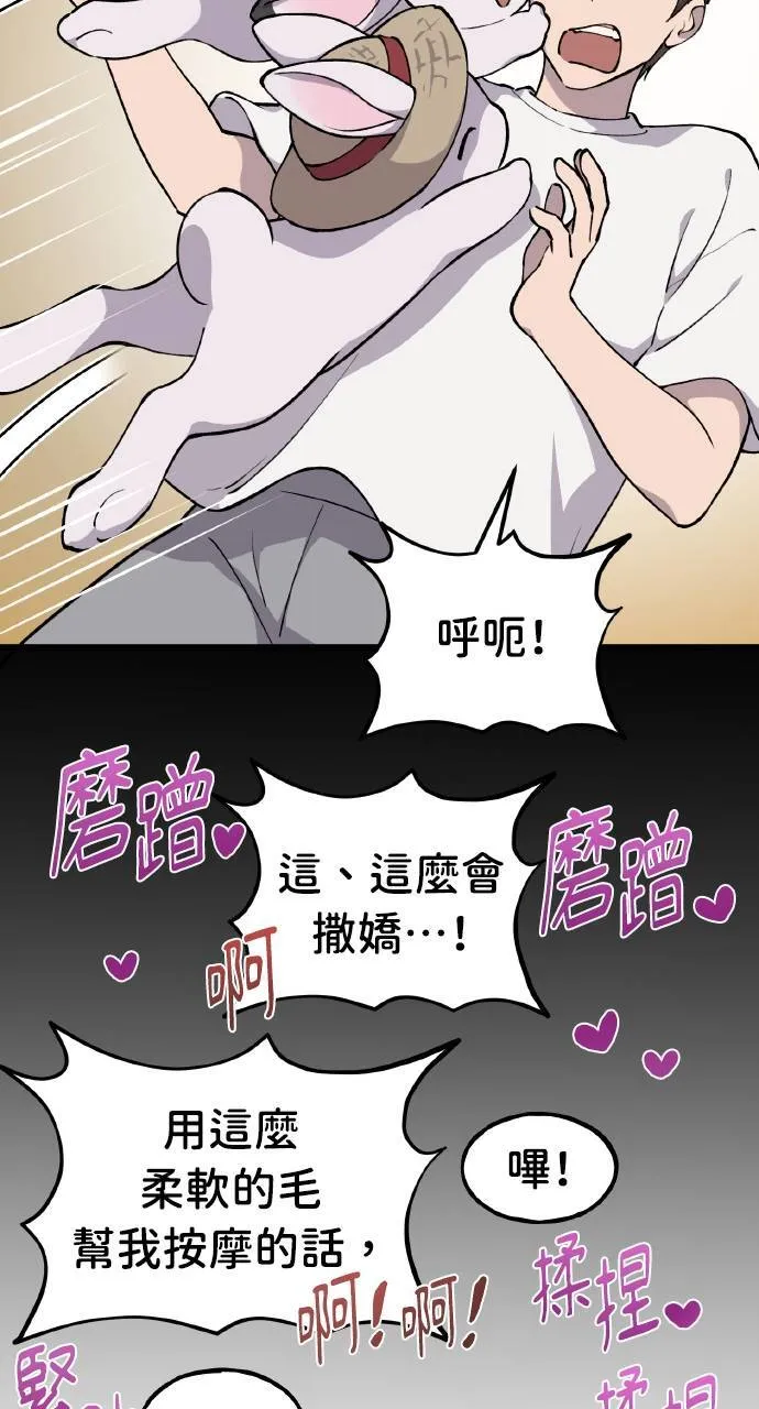 第3话 兔子夫妇 第17页