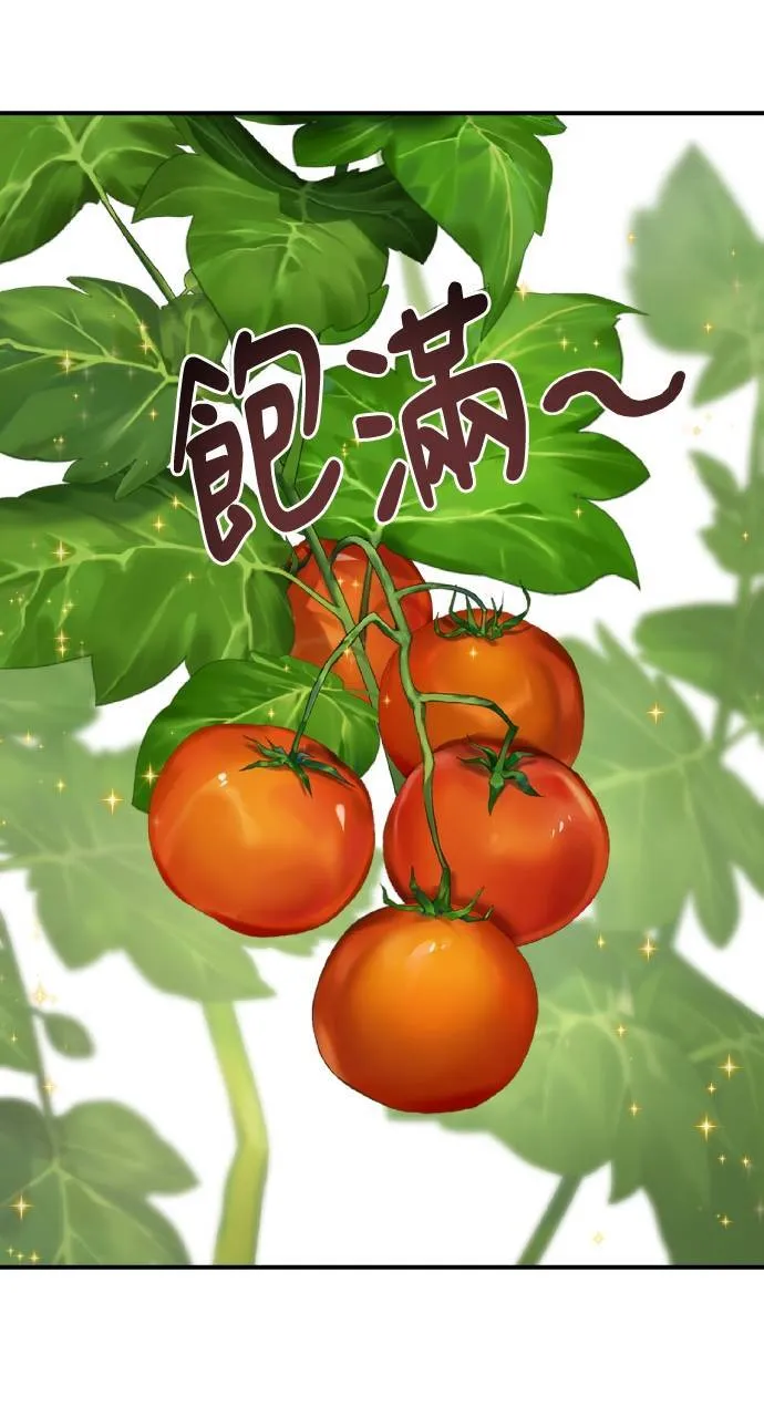 第6话 小番茄 第44页