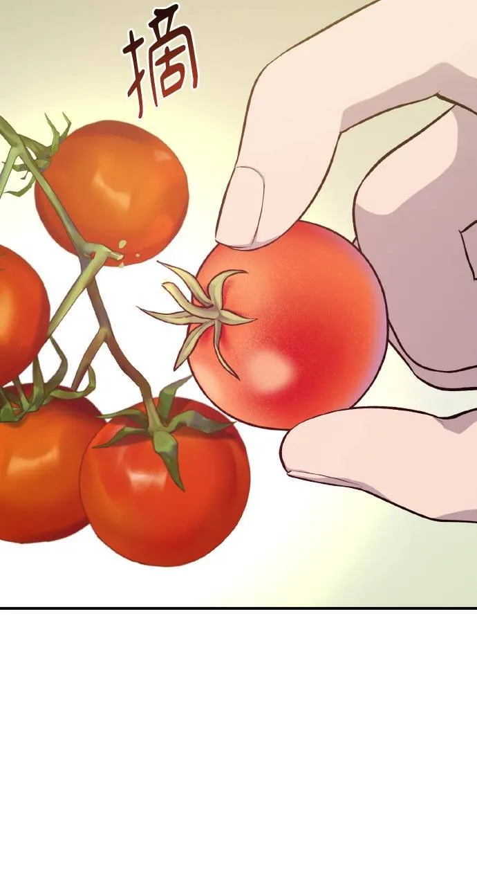 第6话 小番茄 第53页