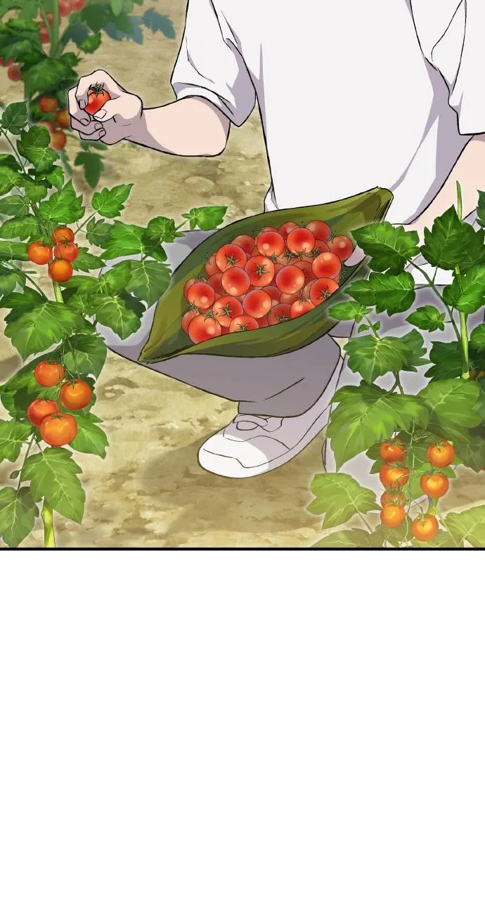 第8话 种子商店 第28页