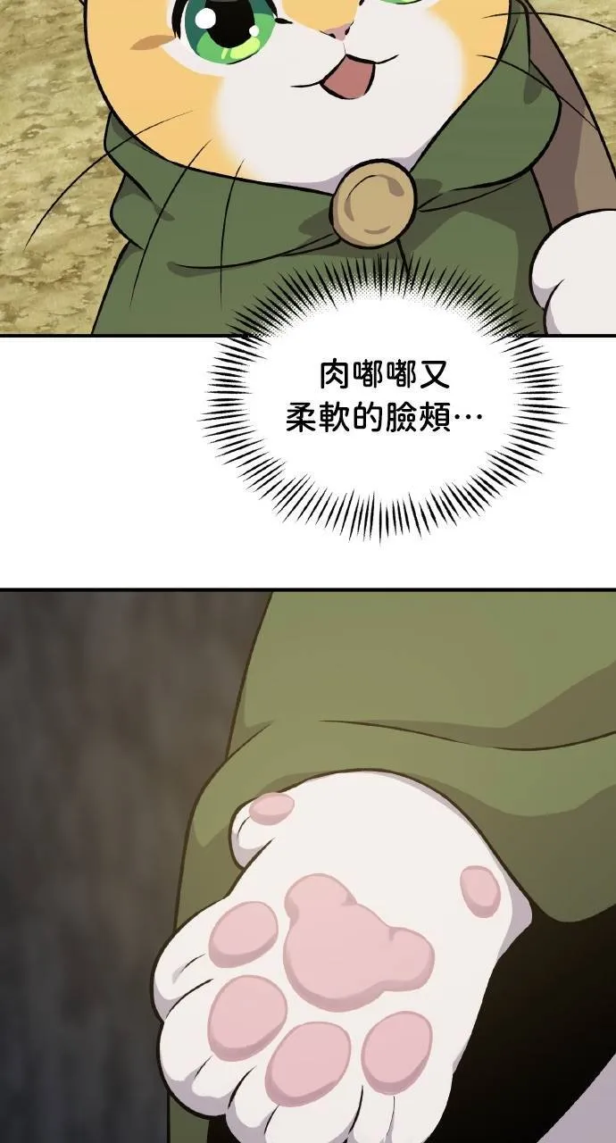 第11话 猫咪流浪商人泰奥 第5页