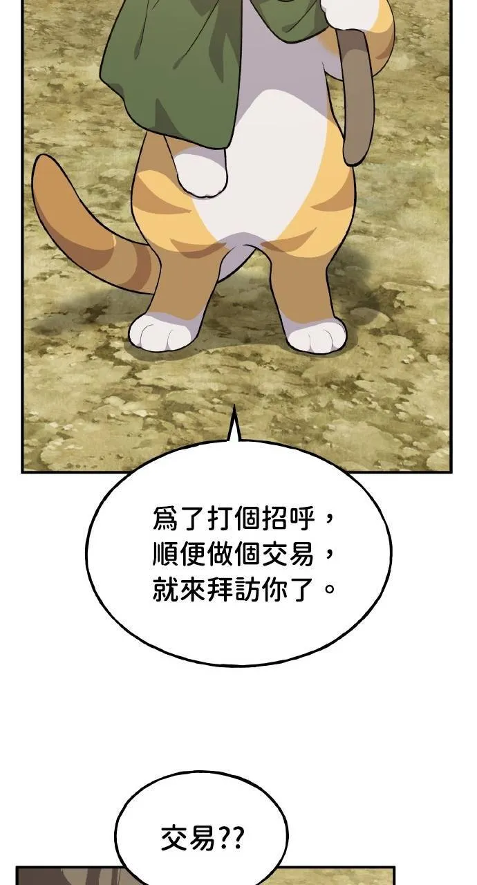 第11话 猫咪流浪商人泰奥 第11页