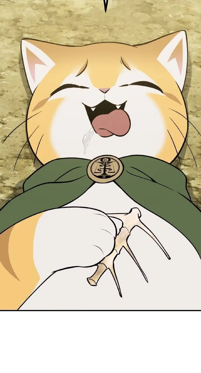 第11话 猫咪流浪商人泰奥 第27页