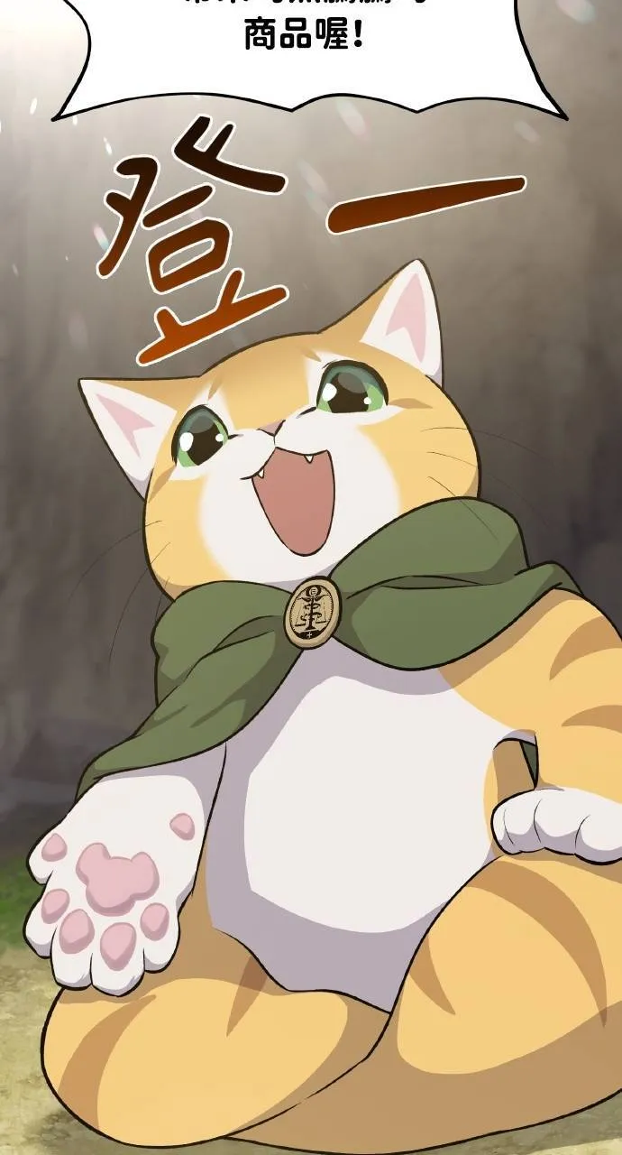 第11话 猫咪流浪商人泰奥 第41页