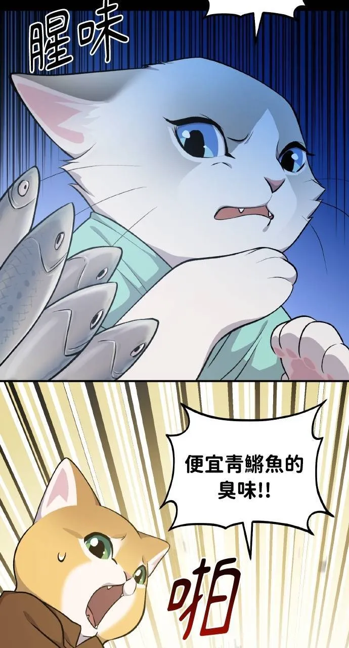 第11话 猫咪流浪商人泰奥 第68页