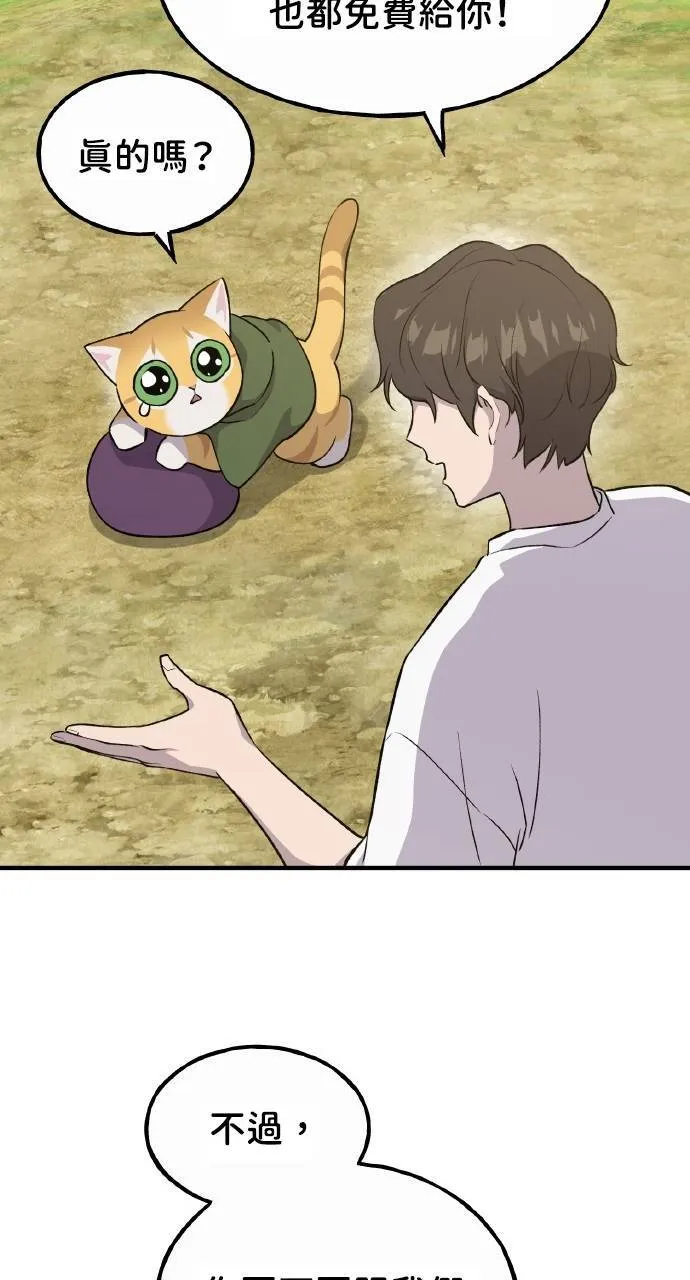 第11话 猫咪流浪商人泰奥 第114页