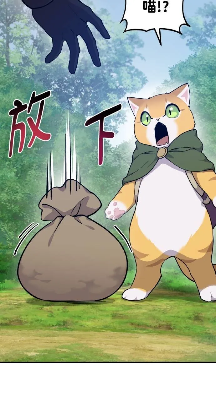 第14话 收到肉泥了喵 第44页