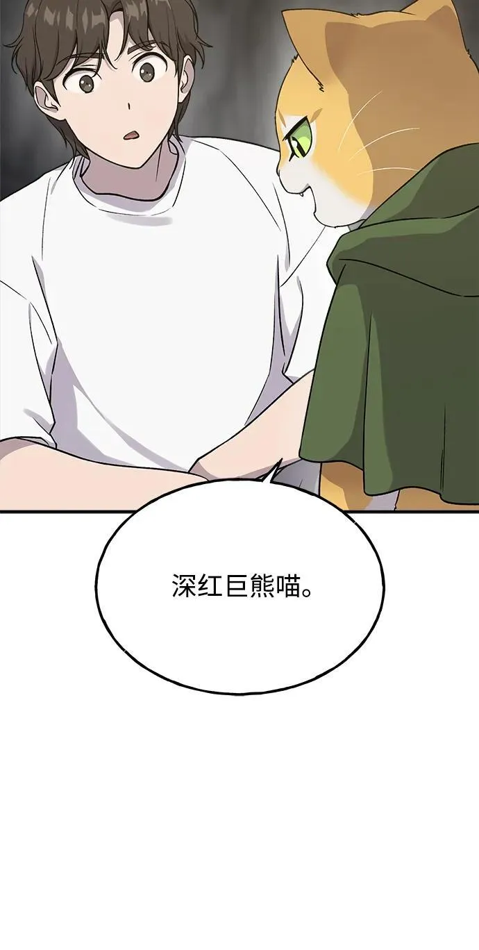 [第17话] 开始拍卖了喵！ 第6页
