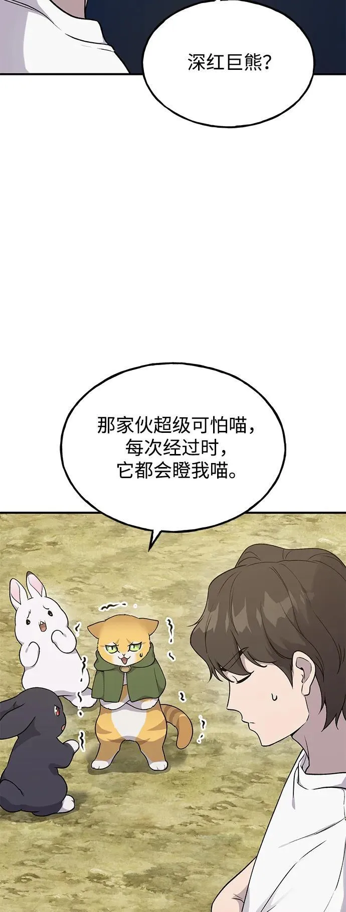 [第17话] 开始拍卖了喵！ 第8页