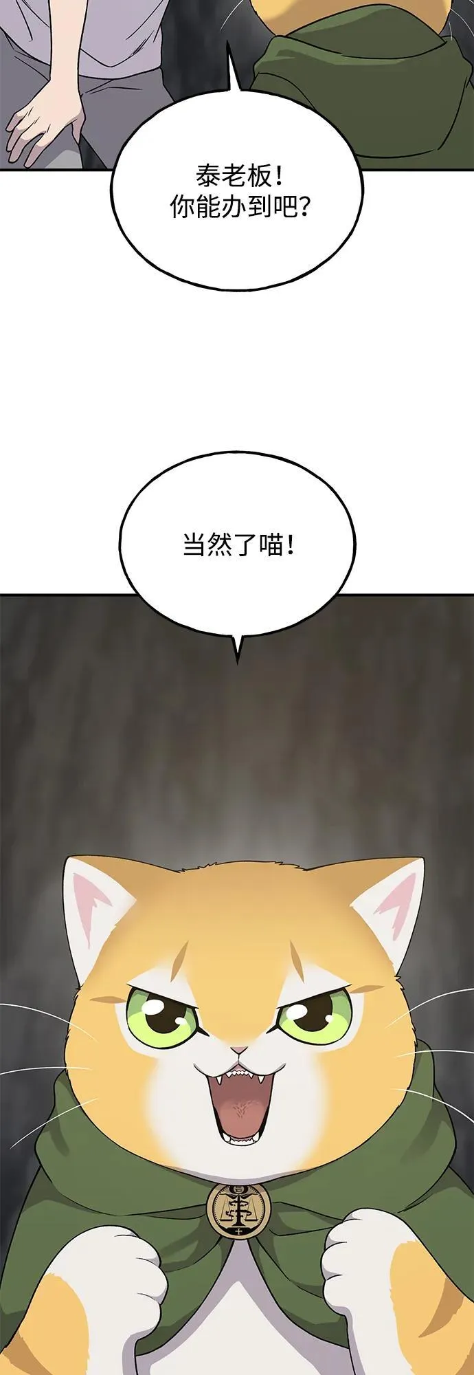[第17话] 开始拍卖了喵！ 第17页