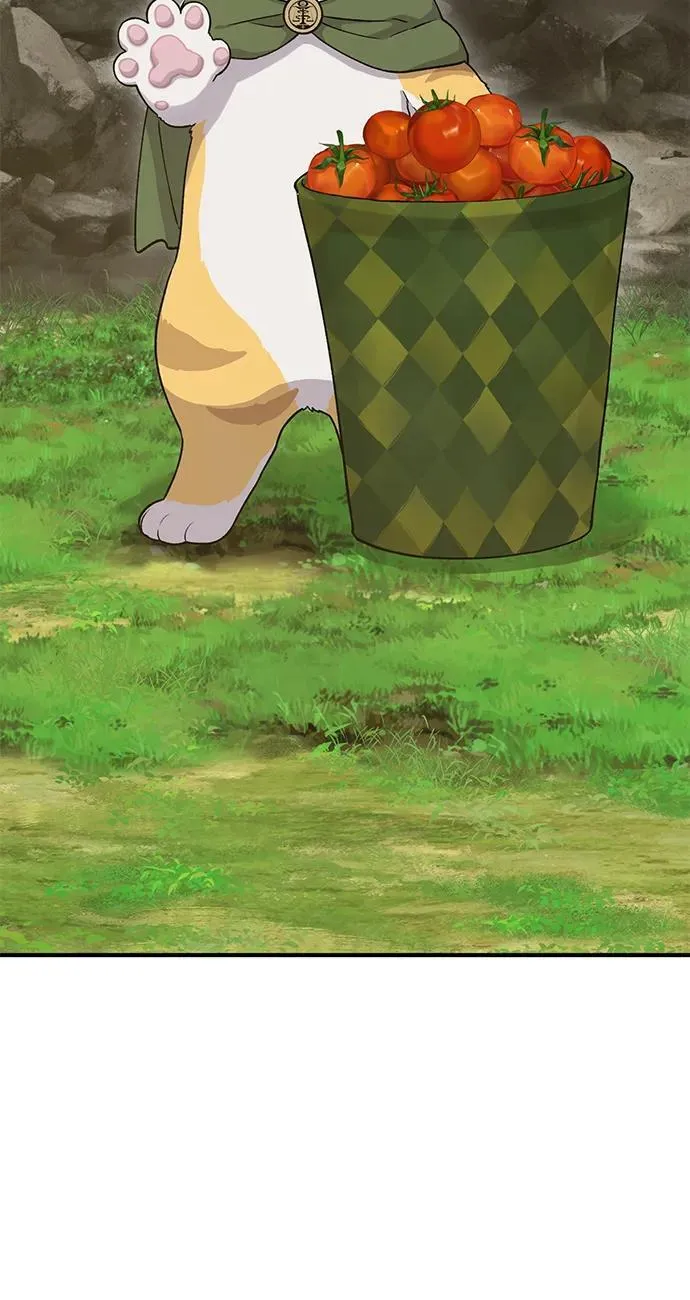 [第17话] 开始拍卖了喵！ 第95页