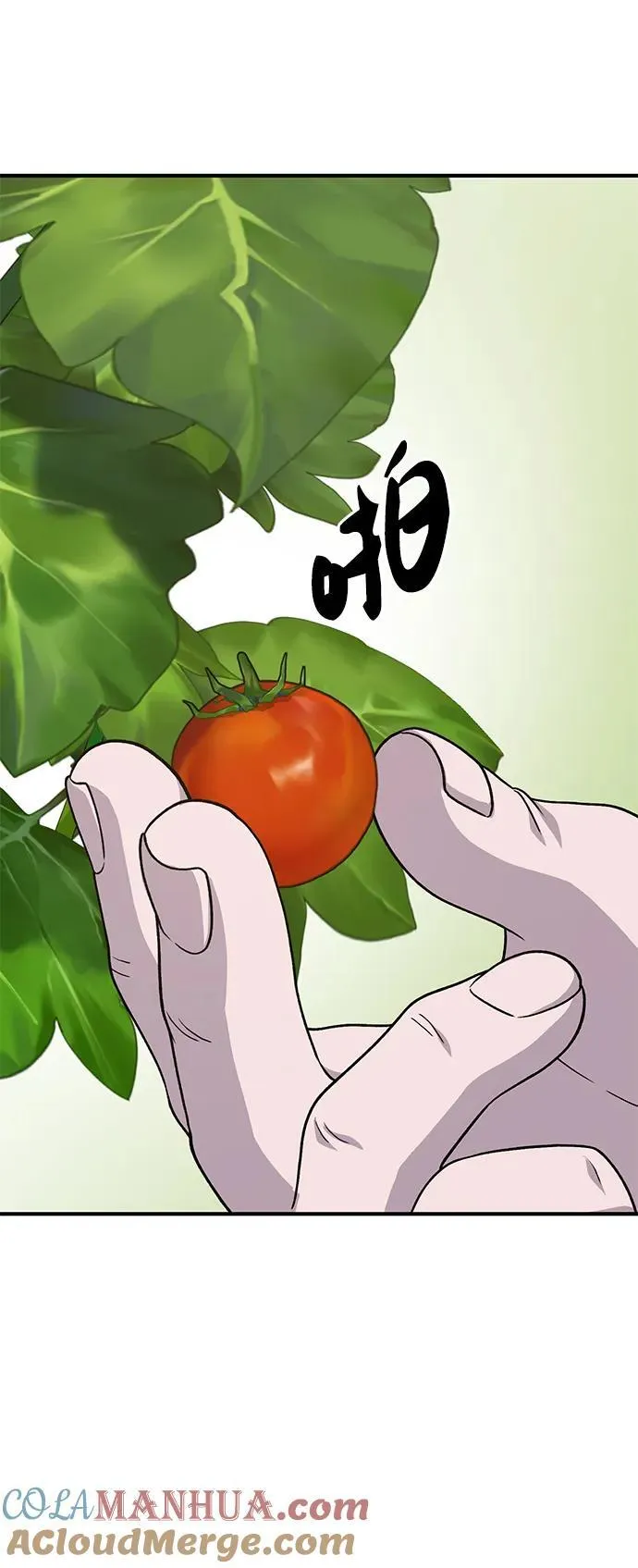 [第38话] 烤大龙虾 第77页