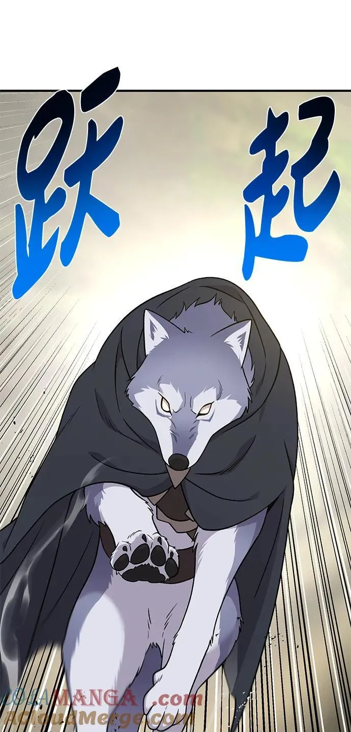 [第44话] 银狼族 第13页