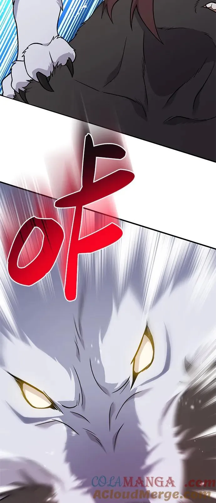 [第44话] 银狼族 第29页
