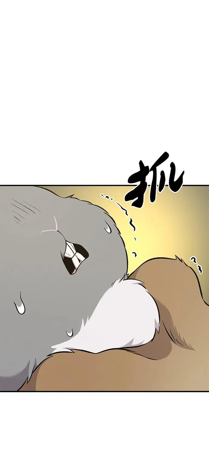 [第56话] 灰兔 第51页