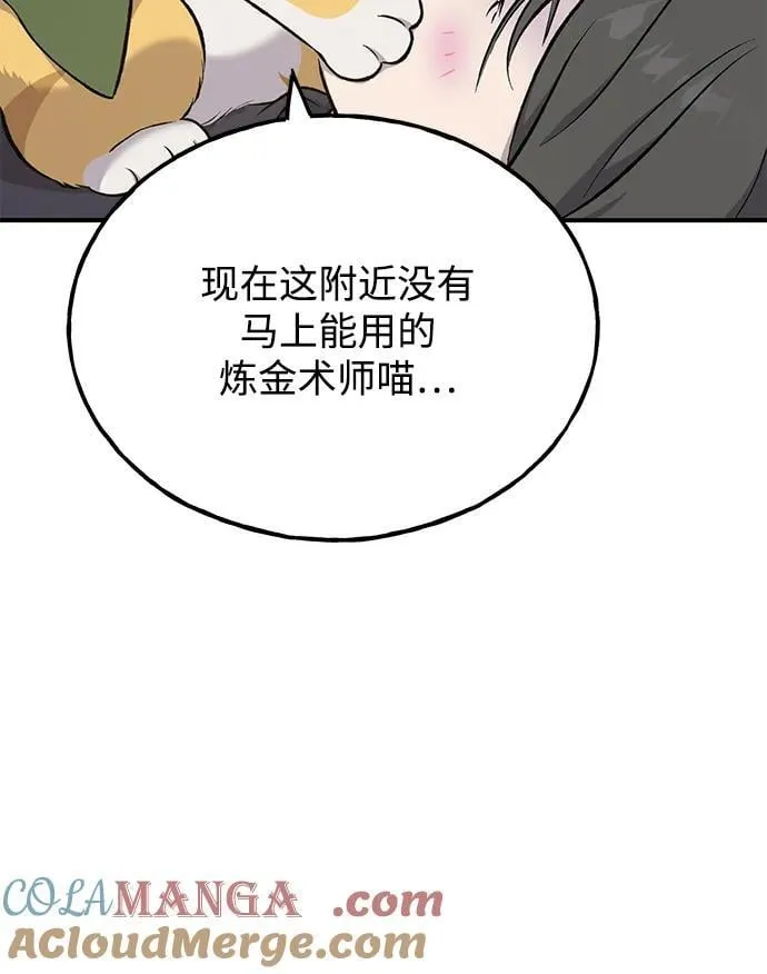 [第60话] 毒蜘蛛的毒 第101页