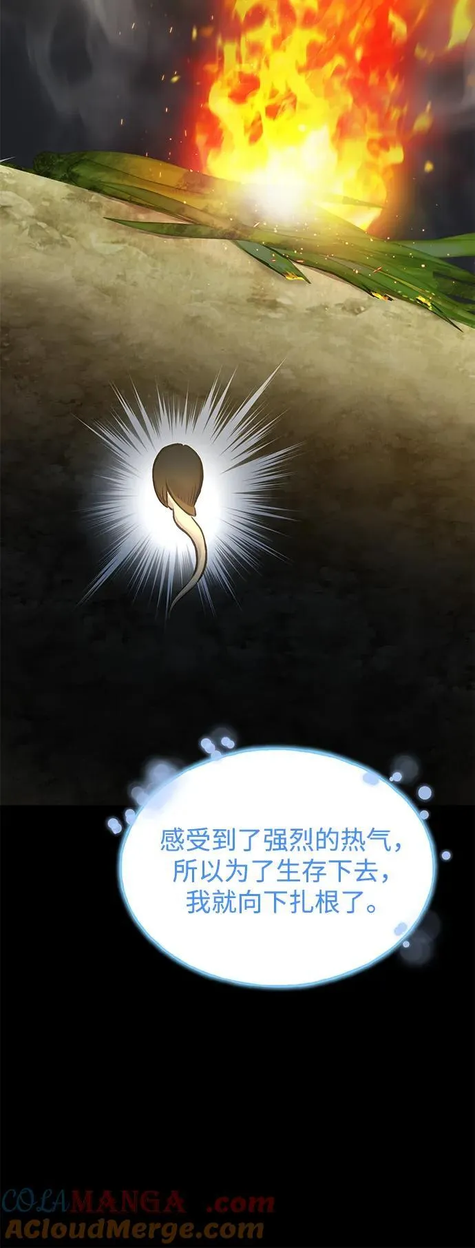 [第73话] 火花苹果树 第17页