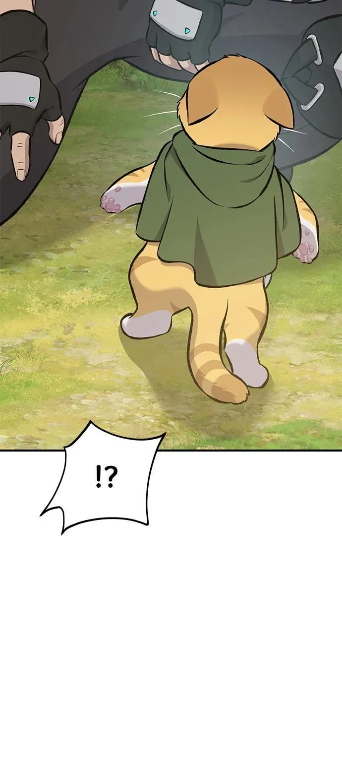 [第73话] 火花苹果树 第56页
