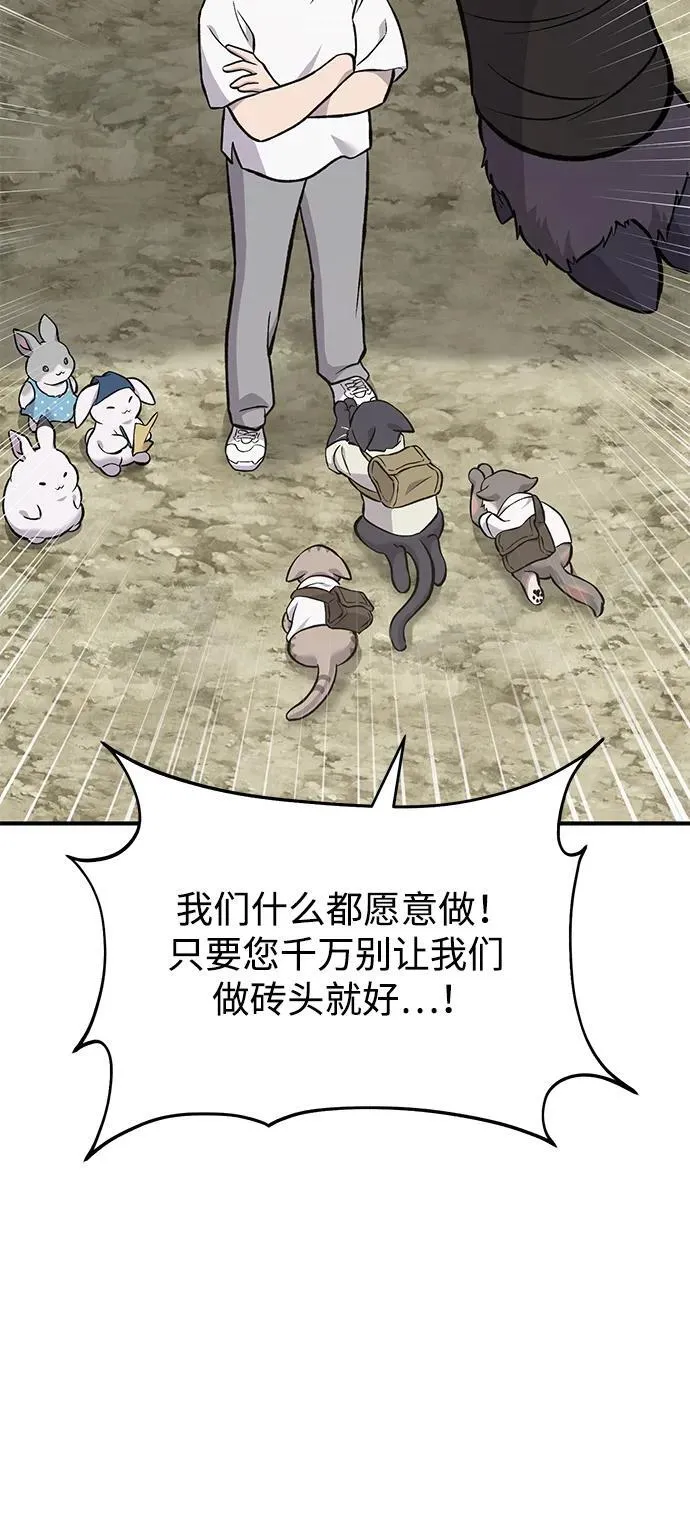 [第77话] 有实习生了 第66页