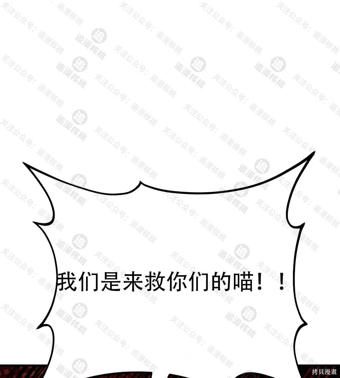 第102话 第74页