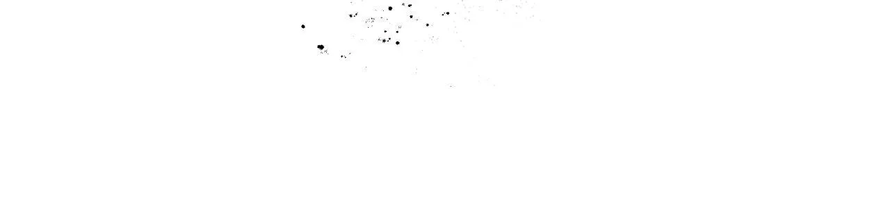 第1话 烧死冒牌货 第228页