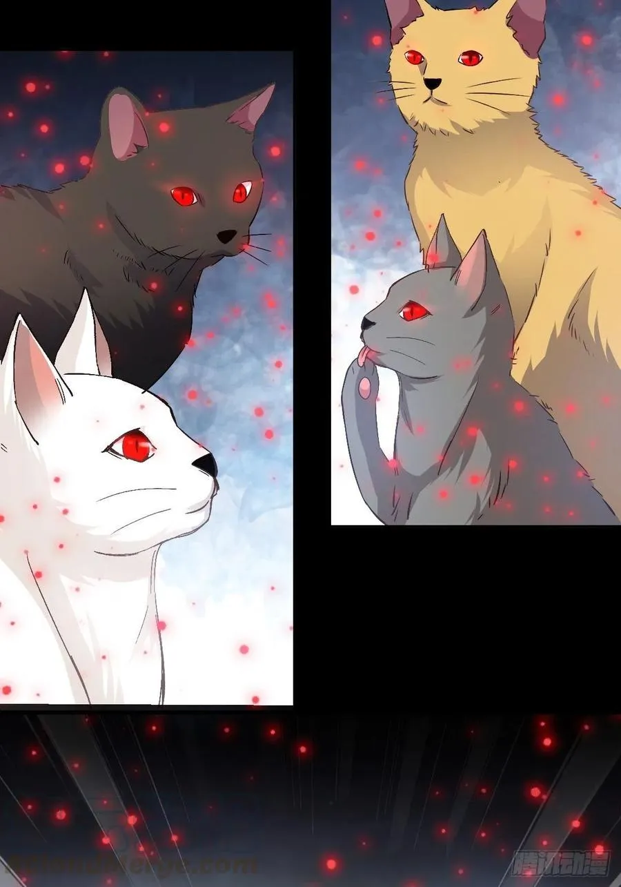 109 野猫杀手（4） 第5页