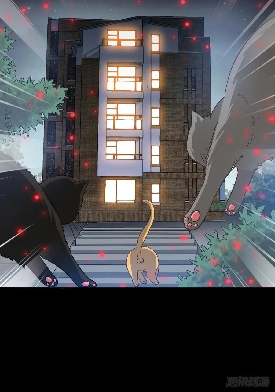 109 野猫杀手（4） 第6页