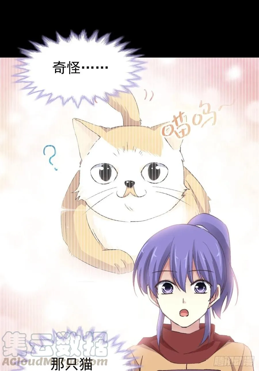 108 野猫杀手（3） 第15页