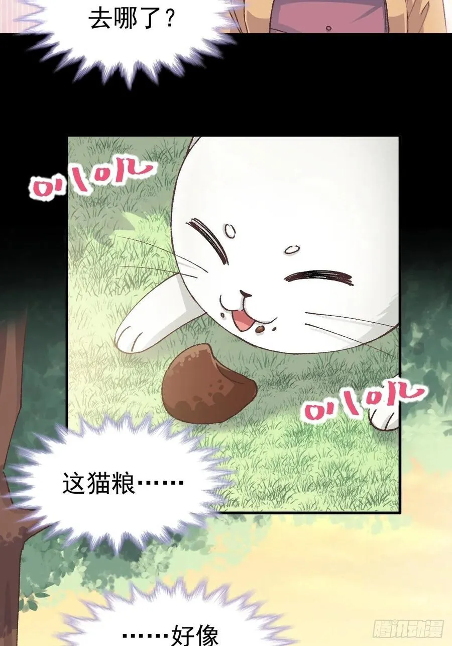 108 野猫杀手（3） 第16页