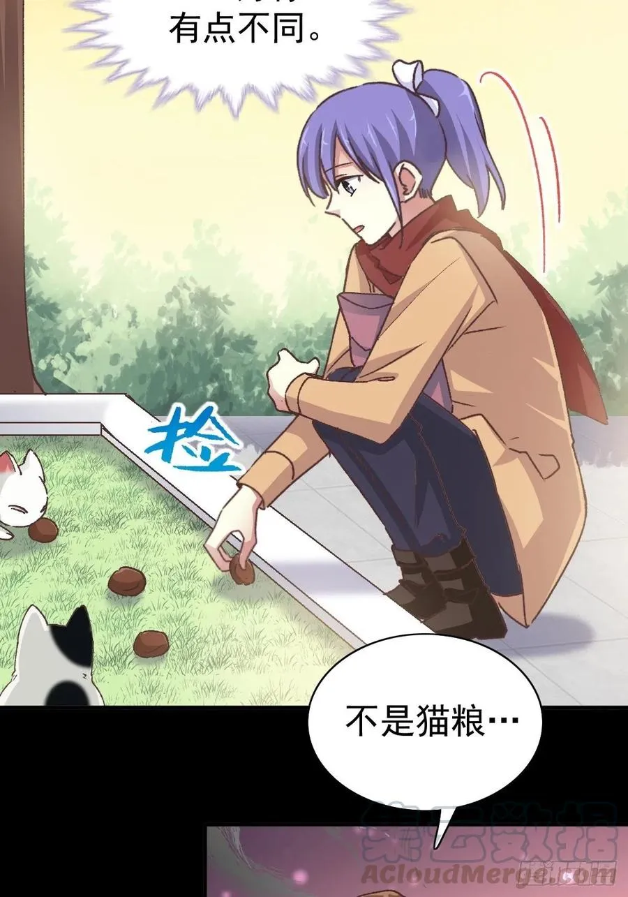108 野猫杀手（3） 第17页