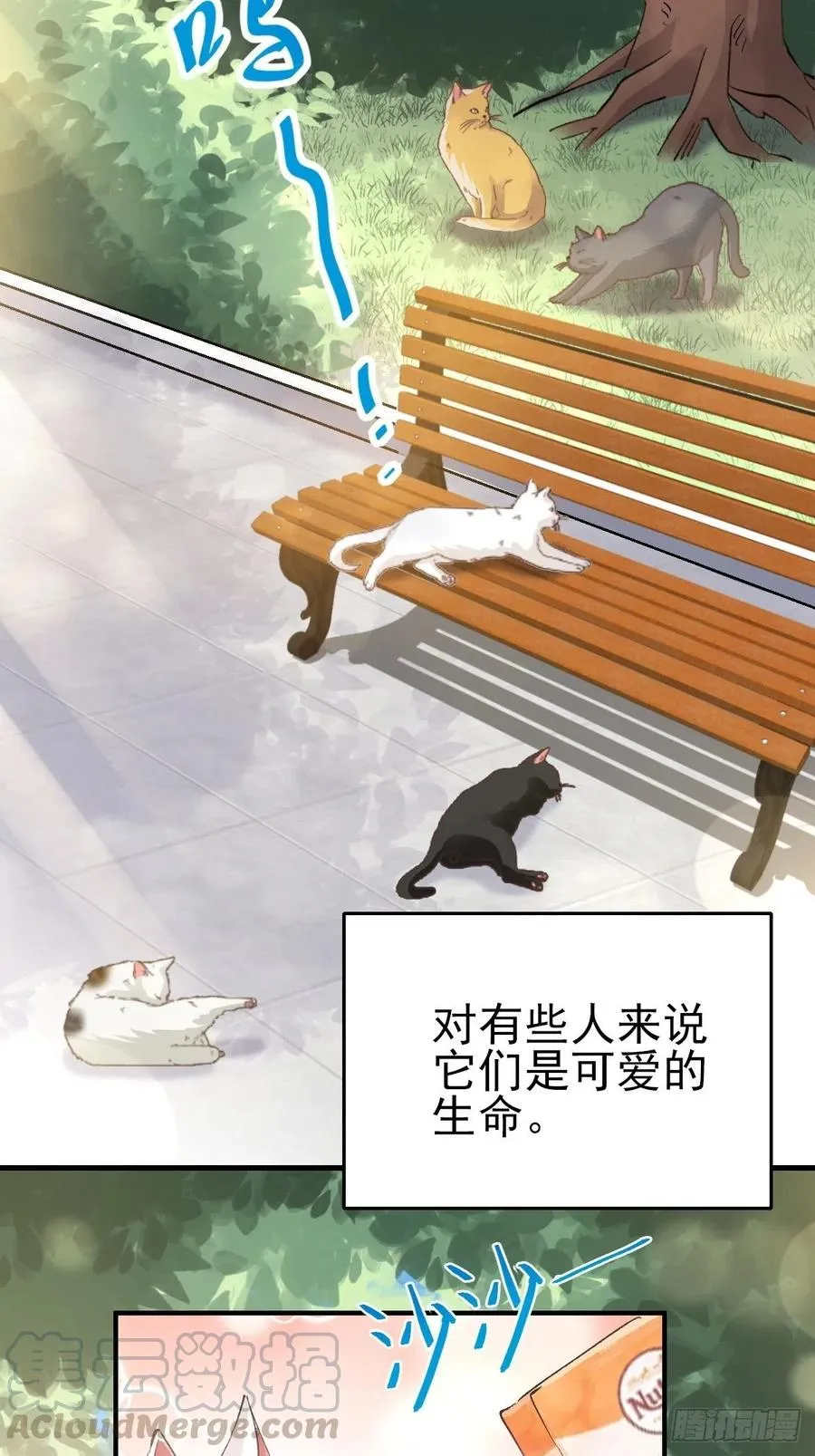 106 野猫杀手（1） 第3页