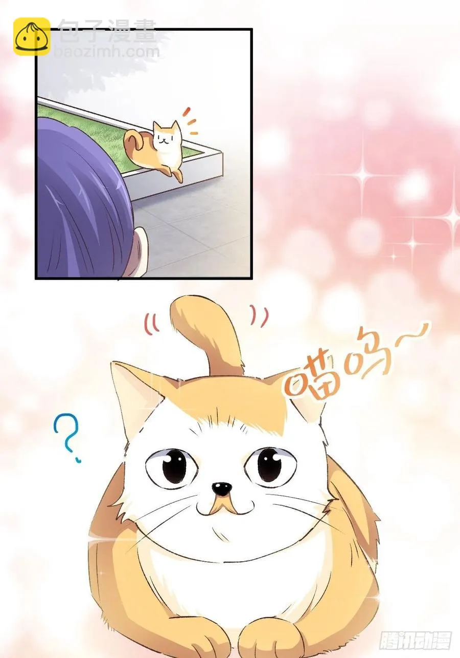 106 野猫杀手（1） 第20页