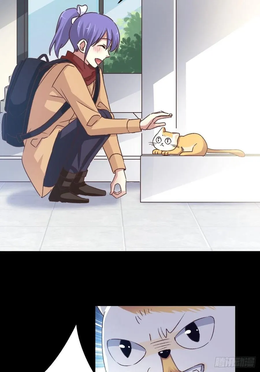 106 野猫杀手（1） 第22页