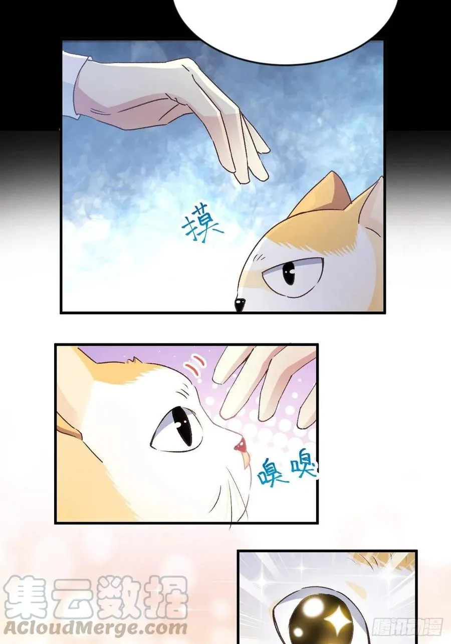 106 野猫杀手（1） 第27页