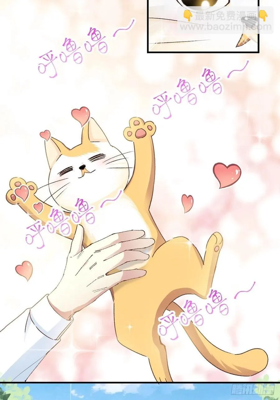 106 野猫杀手（1） 第28页