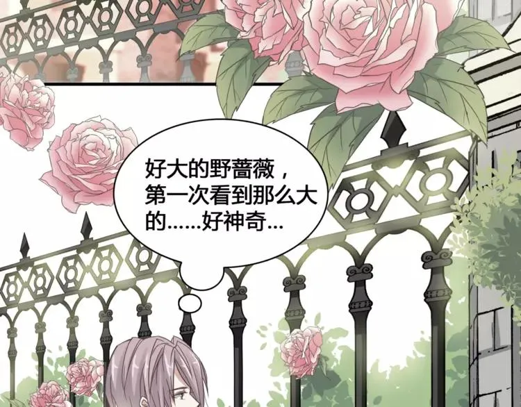 035 野蔷薇物语（上） 第24页